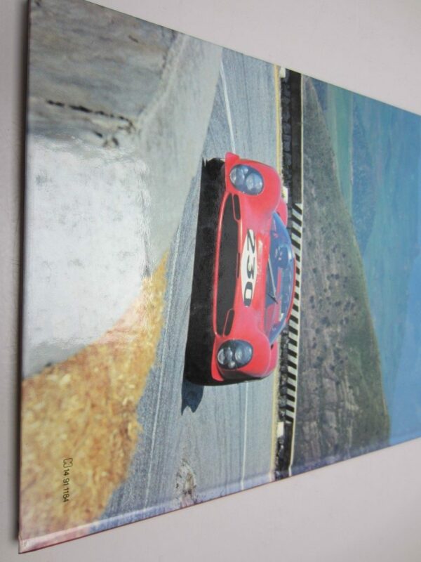 Prenota gare, rally e piloti Autosport - immagine 2