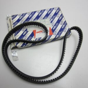 Cinghia dentata Fiat Punto TD