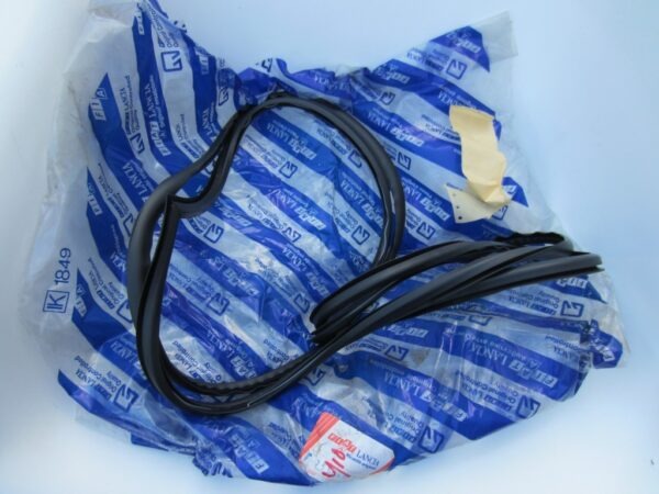 Profielrubber voorruit Y10