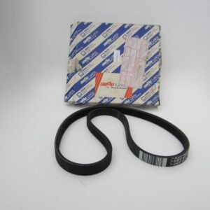 Riem Punto Palio Siena Y