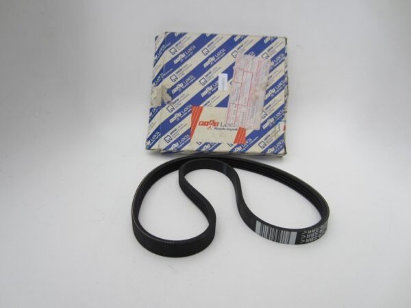 Riem Punto Palio Siena Y
