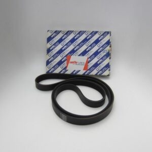 Riem Lancia Zeta Fiat Ulyssee