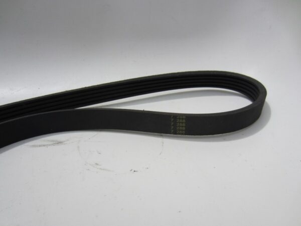 Riem - Afbeelding 3