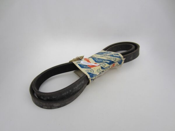 Dynamo V-riem voor de?Lancia Thema 2.8